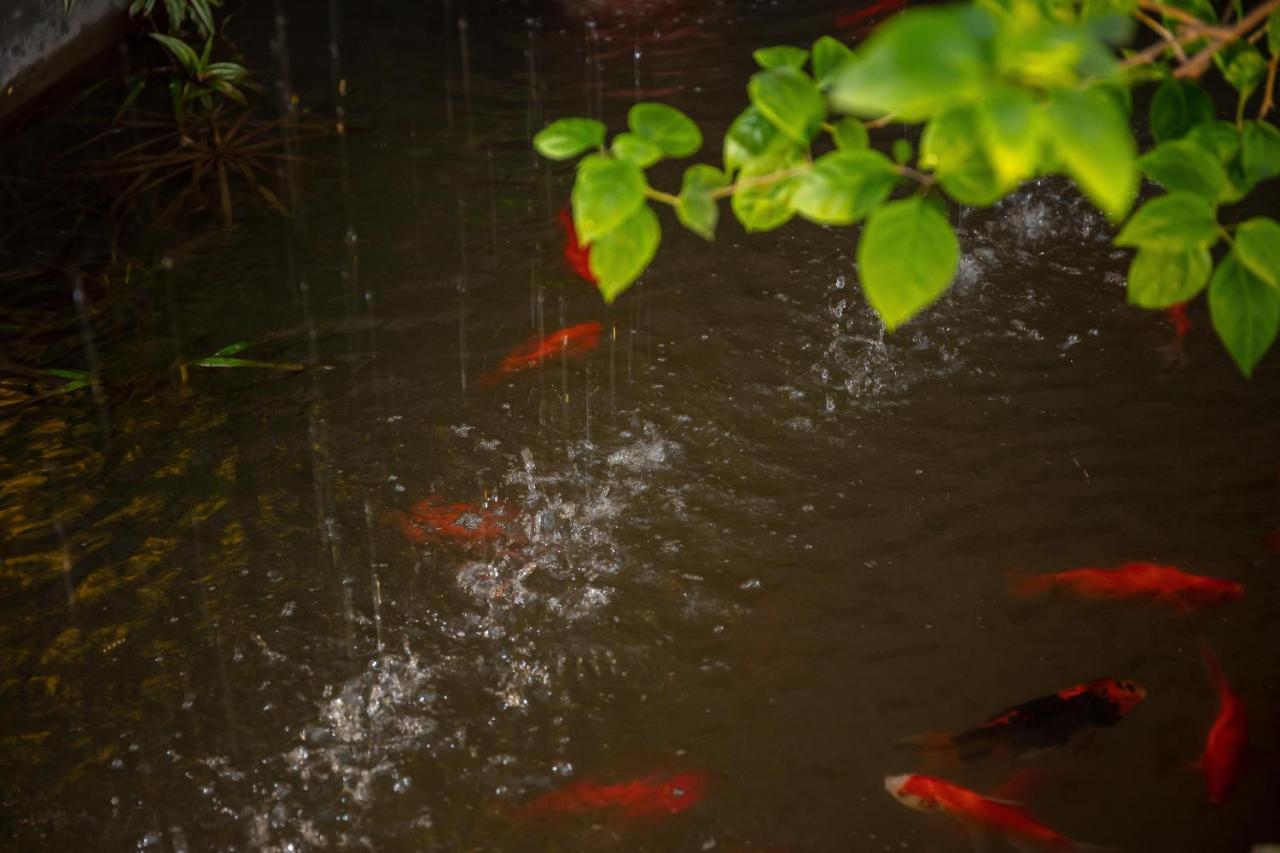 Tam Coc Brothers Homestay - Ninh Binh Exteriér fotografie